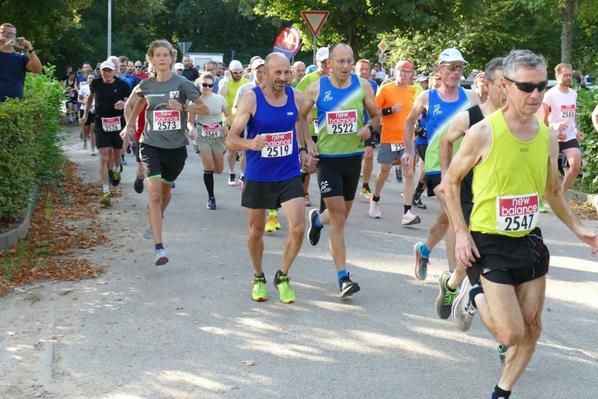 ITK Südpfalzlauf